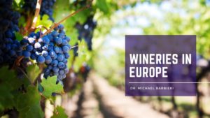 Wineries In Europe