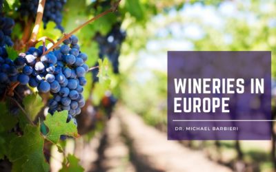 Wineries in Europe